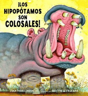 LOS HIPOPOTAMOS SON COLOSALES!
